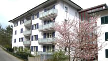 Westfassade