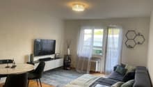 Wohnzimmer_Manessenstr._101.jpg