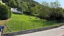 Listing picture