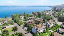 Aerial view of a residential area with houses, trees, and a lake in the background.