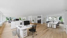 modern office with white walls, wooden floors, white desks, black office chairs, computer monitors, potted plants