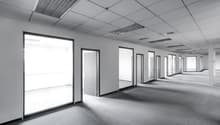 An empty office corridor with multiple rooms, large windows, and a carpeted floor.