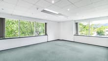 empty room with white walls, white ceiling, carpeted floor, three large windows with a view of trees outside
