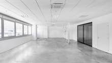 empty room, white walls, gray flooring, large windows, two doors