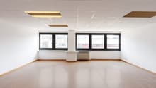 empty room, hardwood floor, two windows, two power outlets, central pillar