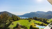 vast grass field, swimming pool, trees, lake view, clear sky