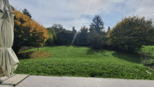 Listing picture