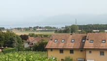 Listing picture