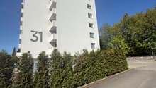 White building with multiple floors, labeled as '31', surrounded by hedges and trees, with a road in front