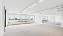 Empty room, large windows, radiators, gray carpet, fluorescent ceiling lights
