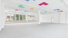 spacious room, white walls, ceiling with multicolored square panels, large windows, carpeted floor