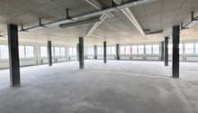 large open room, lots of windows, industrial look, exposed pipes