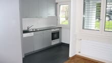 1002_Dielsdorferstrasse_26_3.5_EG_7.jpg