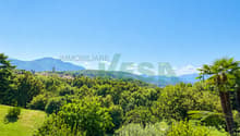 un paesaggio di dolci colline, alberi e montagne / a landscape of rolling hills, trees and mountains