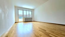 empty room, hardwood floors, white walls, large windows, white ceiling, white radiator