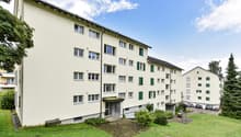 Immagine dell’oggetto