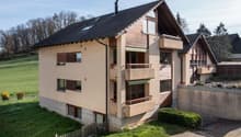 Stutzring_5_Ettingen_DJI_0518