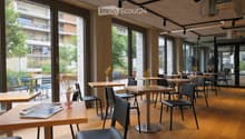 Wooden floor, modern chairs and tables, full length glass windows, plants outside