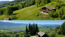 Immagine dell’oggetto