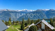 Vue panoramique spectaculaire sur les Alpes