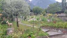 Giardino piantumato