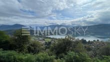Ampia zona boschiva di proprietà