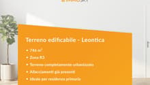 Banner Leontica