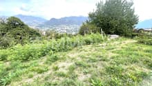 Vista frontale con accesso carrabile