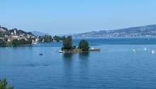 Aussicht auf Zürichsee