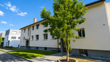 Listing picture