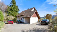 Eine Privatstrasse führt zum grosszügigen Vorplatz mit ausreichend Parkiermöglichkeiten / A private road leads to the spacious forecourt with ample parking facilities