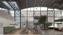 modern building, large windows, open space, tables and chairs, green wall, tree, gray floor