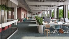 Open floor plan with desks, modern office furniture, glass walls, natural light, large windows, greenery, wooden stools, red and white chairs