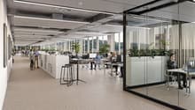 modern office space with glass walls, white cabinets, desks, chairs, plants, and people working