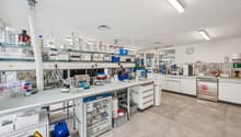 Modern lab interior, stainless steel lab benches, white cabinets, safety signs, various lab equipment and glassware, floor-mounted shelves, stainless steel appliances, and large windows.