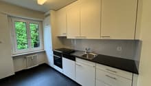 modern kitchen, white cabinets, black countertops, stainless steel sink, oven, dishwasher, window with view