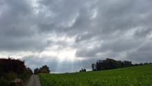Green field, path in between, trees on the right, cloudy sky