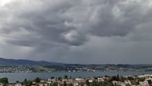 Immagine dell’oggetto