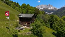 Immagine dell’oggetto