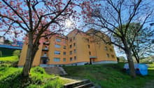 Listing picture