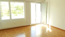 Hardwood floor, white walls, large windows, balcony, sliding doors, radiators