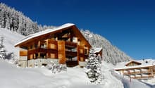 Immagine dell’oggetto
