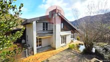 Einfamilienhaus_Garten