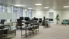 Open plan office, desks, black office chairs, computer monitors, beige carpet, glass walls, large windows, potted plants