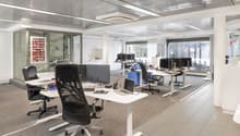 modern office layout, multiple desks, ergonomic chairs, computer monitors, adjustable height tables, large windows, white ceiling and floor