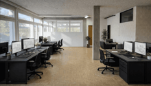 modern office setup, black desks, black swivel chairs, white walls, large windows, plants, and monitors