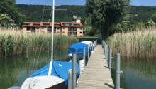 Immagine dell’oggetto