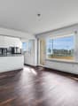 modern kitchen with white cabinets, wooden floor, large windows, island countertop, modern appliances