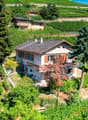 Villa Sierre - Vue drône / Villa Sierre - Drohnenblick / Villa Sierre - Drone view
