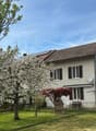 3 - Copie